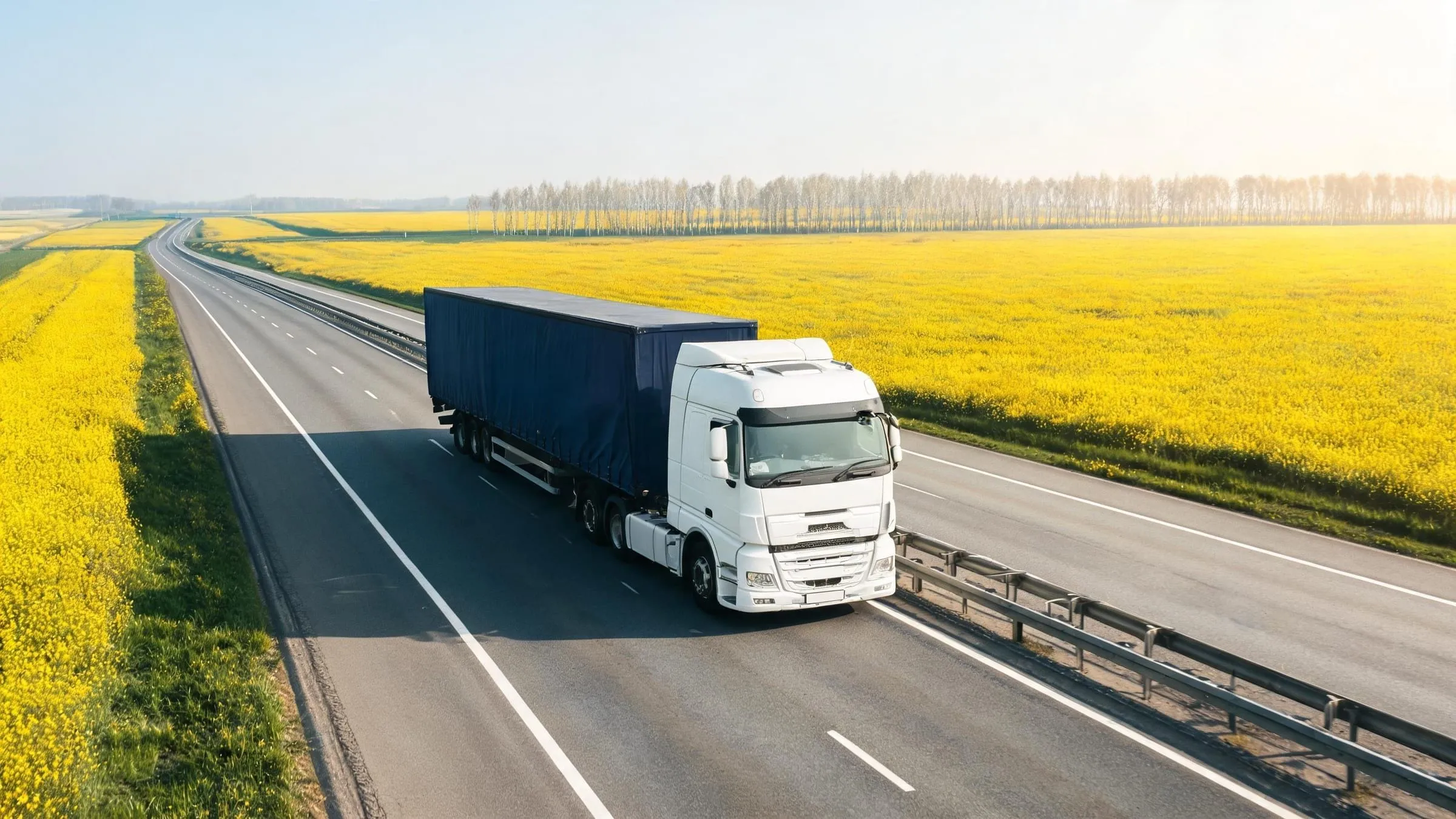 A truck with a curtainsider trailer on a motorway between fields of yellow rapeseed